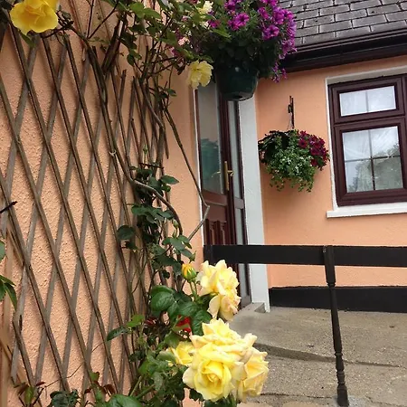 ベッド・アンド・ブレックファスト Eriu クリフデン